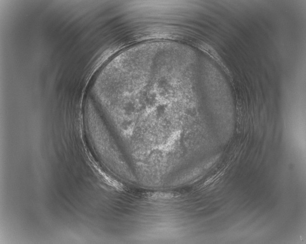 X0000055980890200509091950