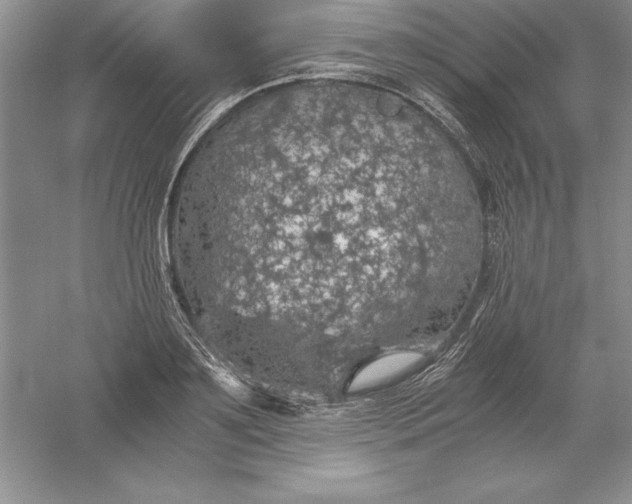 X0000055980891200509091950