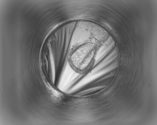 X0000055980892200509091950