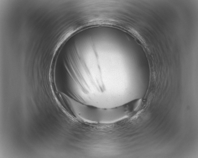 X0000055980893200509091950