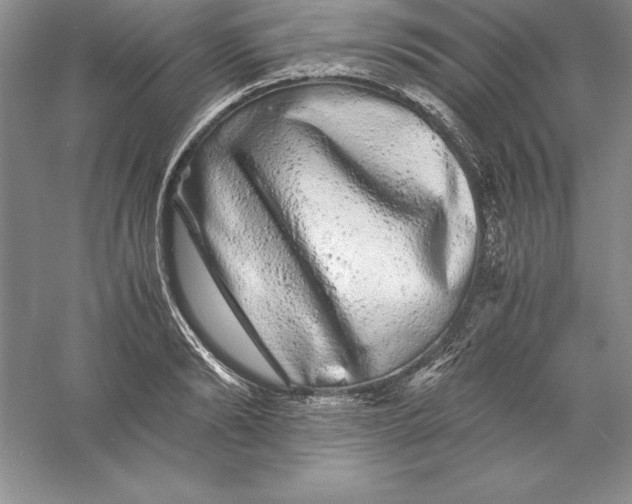 X0000055980894200509091950