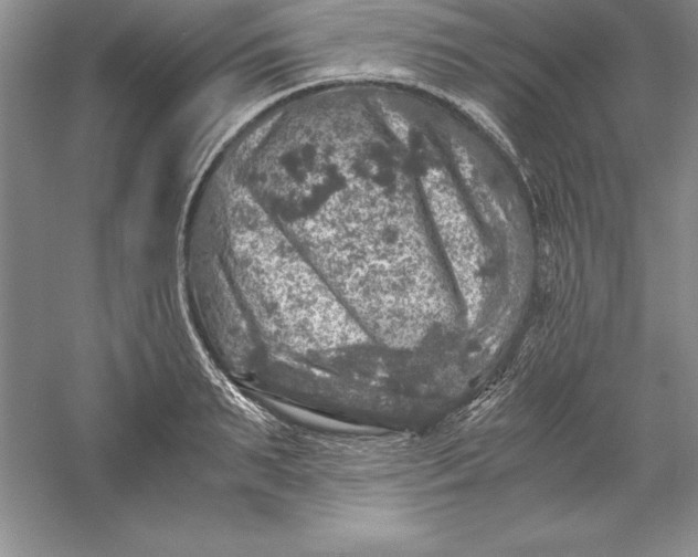 X0000055980895200509091950