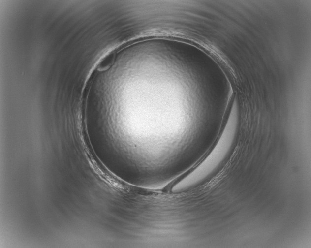 X0000055980896200509091950