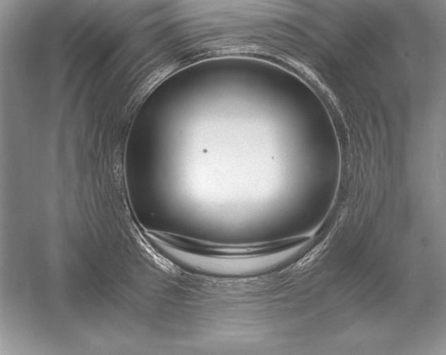 X0000055980897200509091950