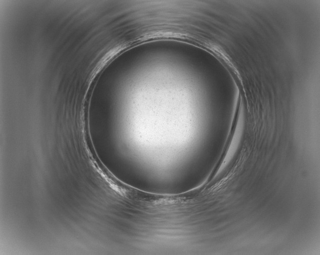 X0000055980898200509091950