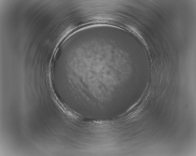 X0000055980899200509091950