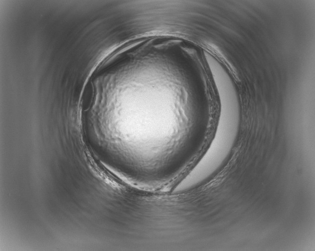 X0000055980900200509091950