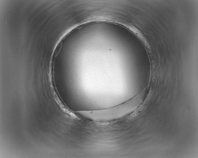 X0000055980904200509091950