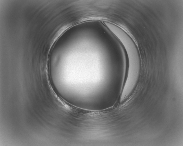 X0000055980906200509091950