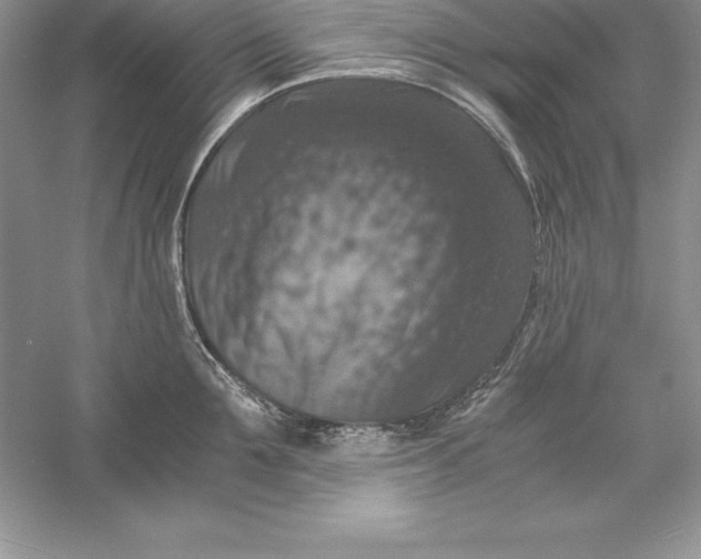 X0000055980907200509091950