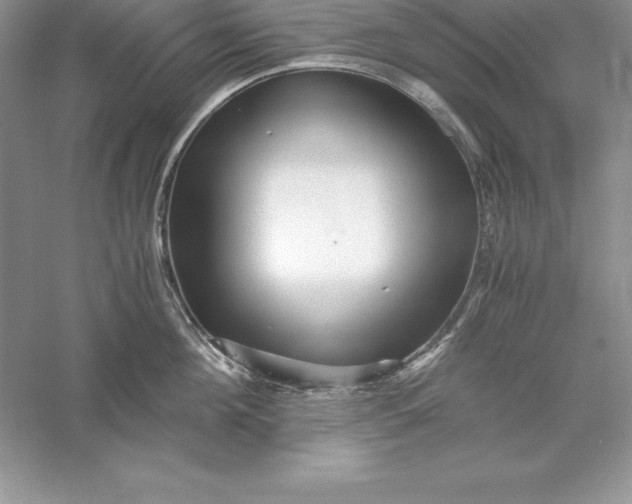 X0000055980908200509091950