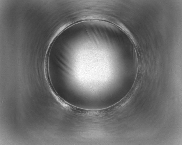 X0000055980909200509091950