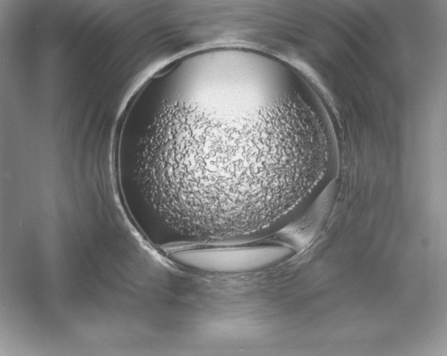 X0000055980910200509091950