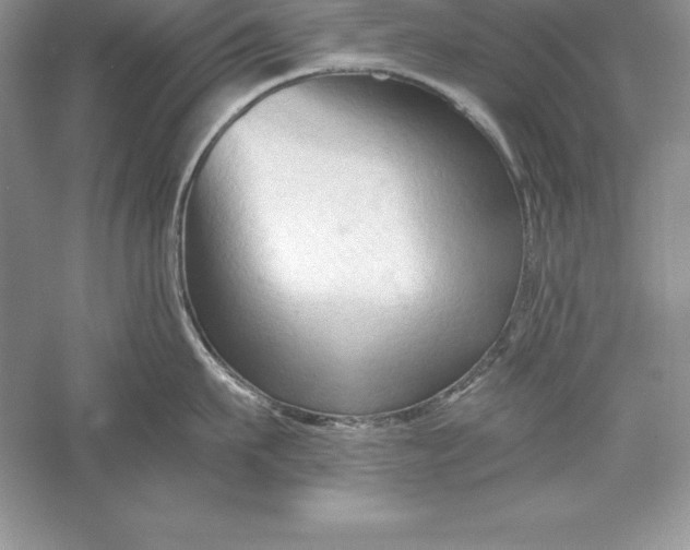 X0000055980911200509091950