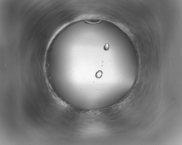 X0000055980912200509091950