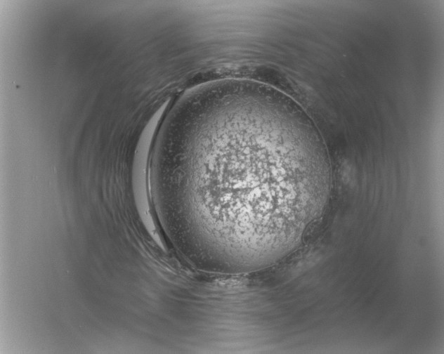 X0000055980914200509091949