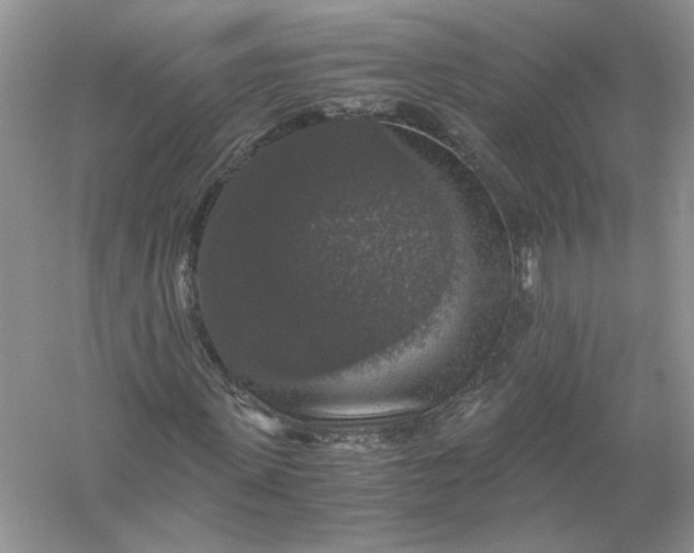 X0000055980915200509091949