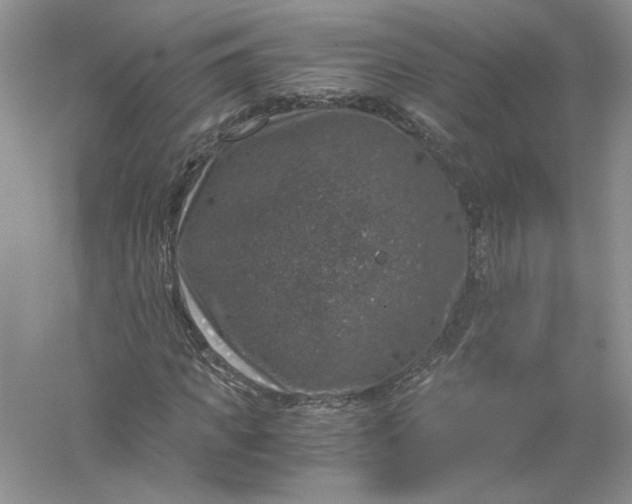 X0000055980917200509091949