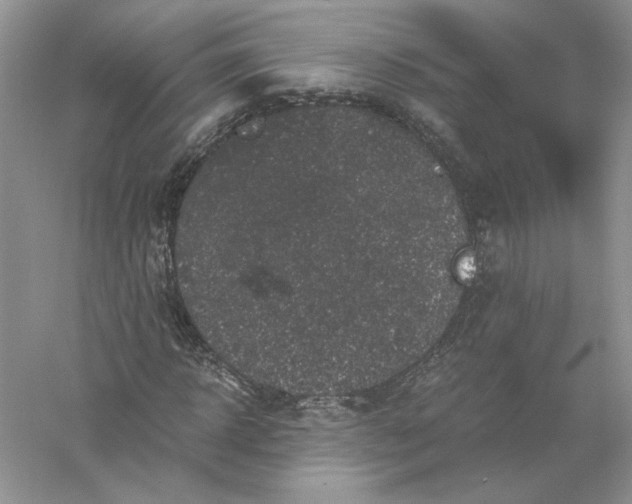 X0000055980918200509091949