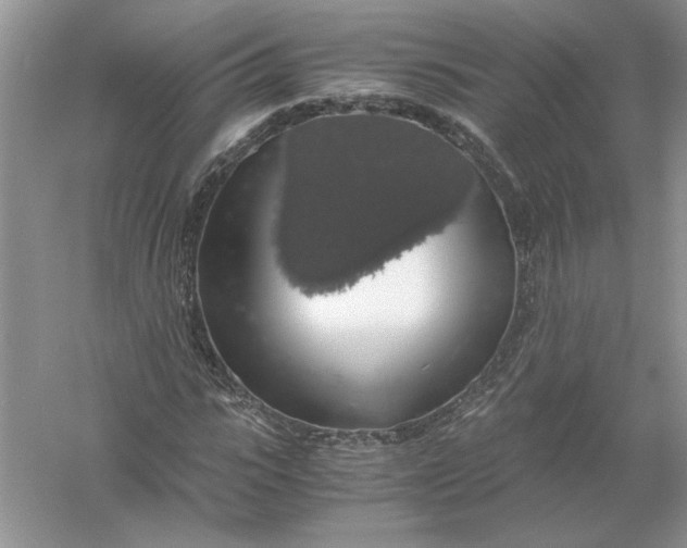 X0000055980919200509091949