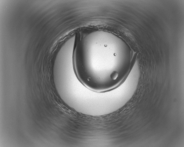 X0000055980920200509091949