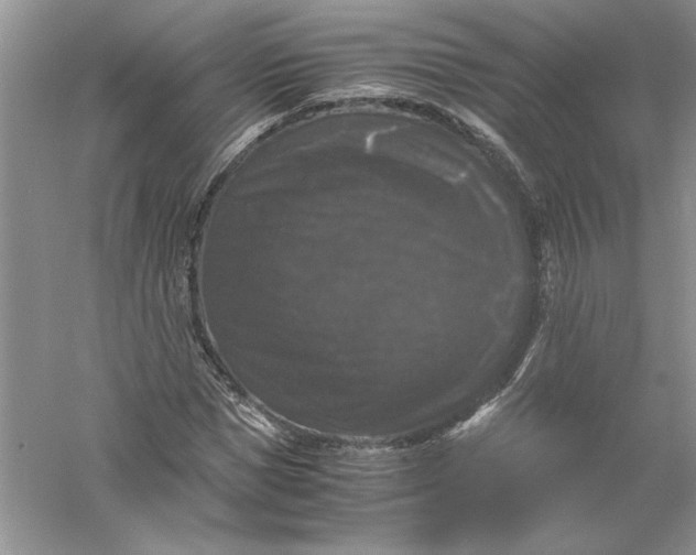 X0000055980921200509091949