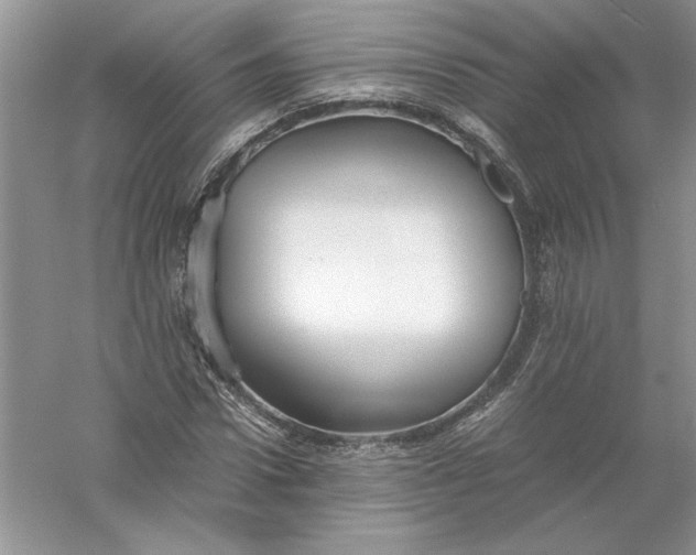 X0000055980922200509091949