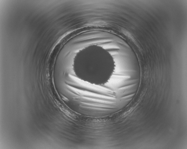 X0000055980923200509091949