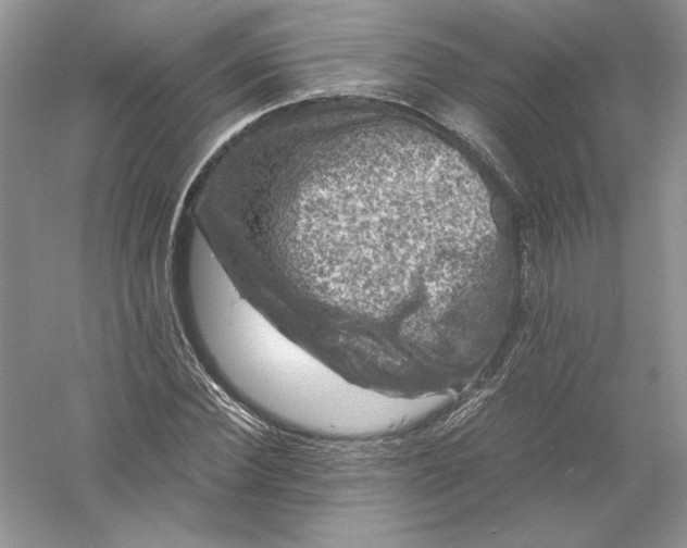 X0000055980924200509091949