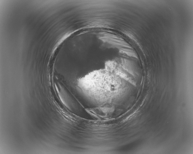 X0000055980925200509091949