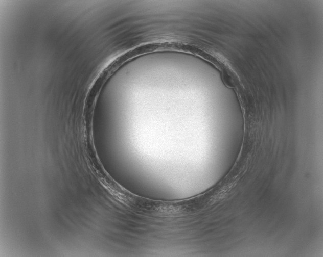 X0000055980927200509091949