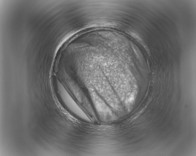 X0000055980928200509091949