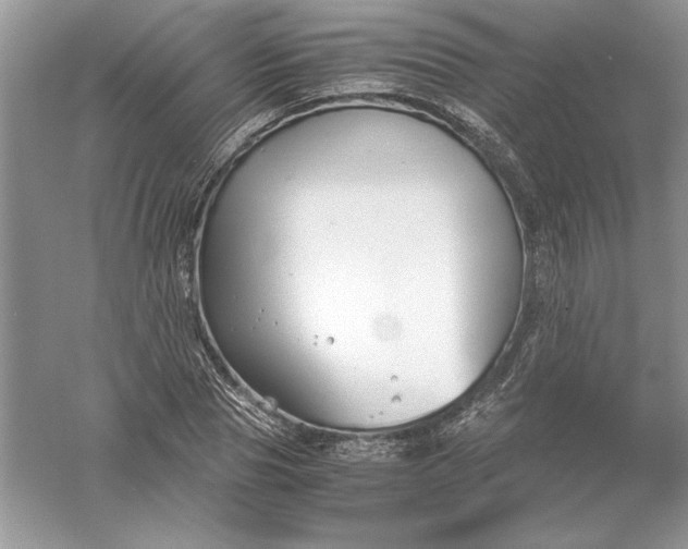 X0000055980929200509091949