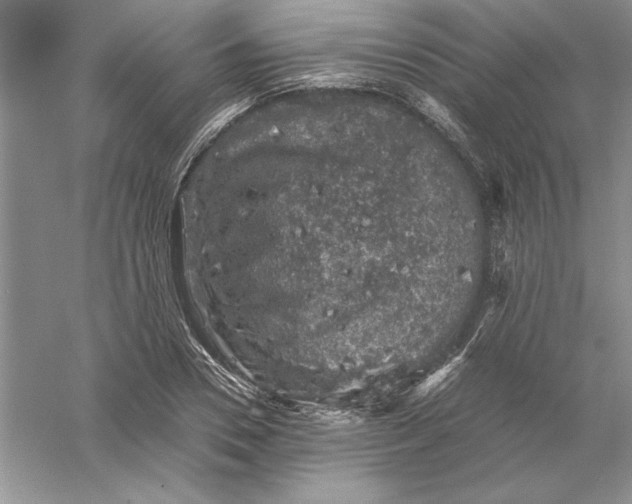 X0000055980930200509091949