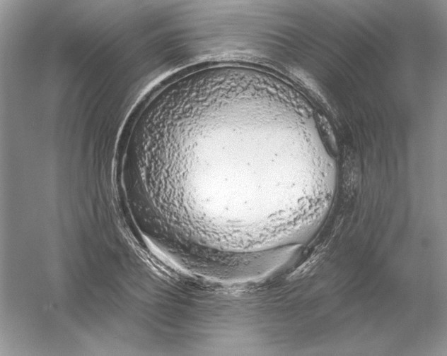 X0000055980932200509091949