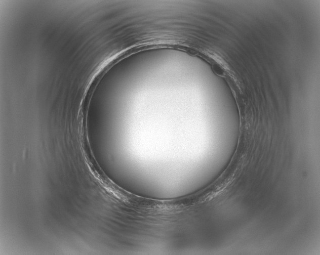 X0000055980933200509091949