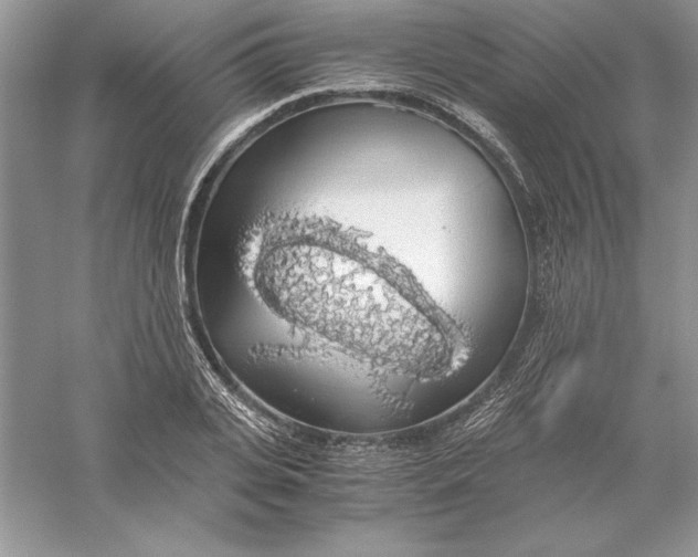 X0000055980935200509091949