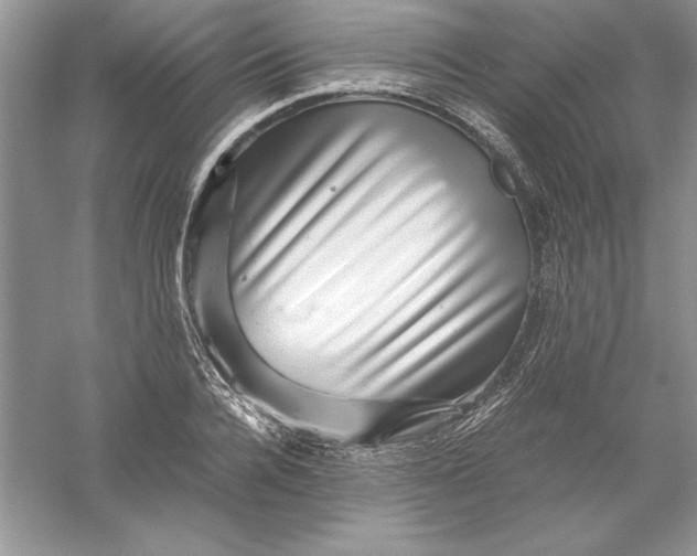 X0000055980936200509091949