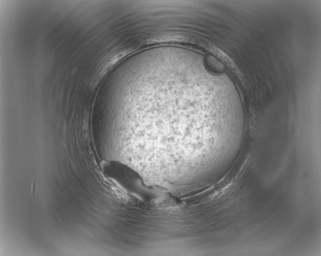 X0000055980937200509091949