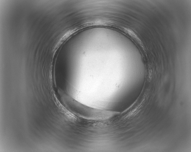 X0000055980938200509091949