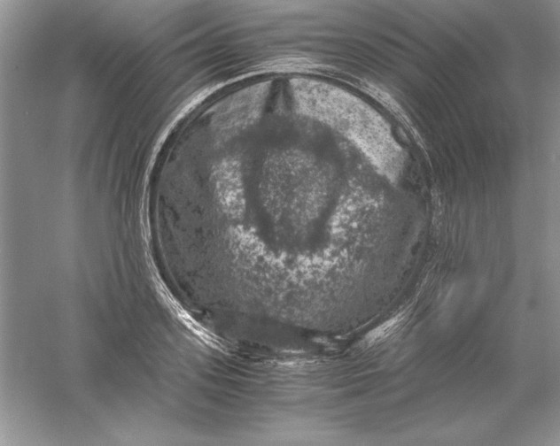 X0000055980939200509091949