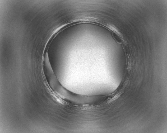 X0000055980940200509091949