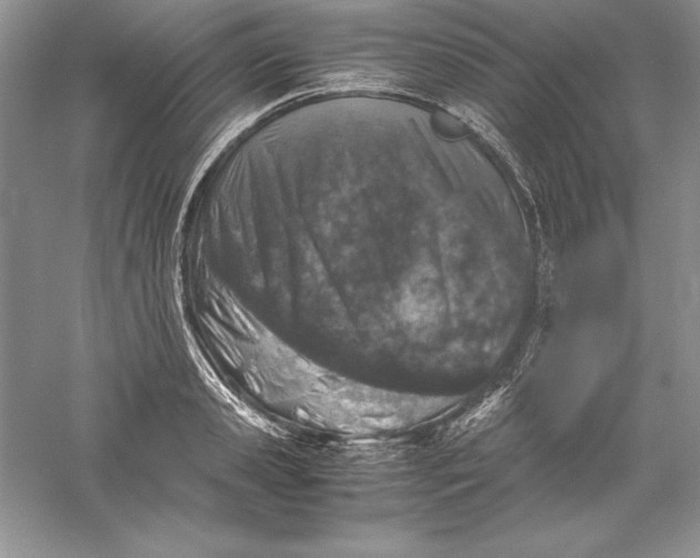 X0000055980941200509091949