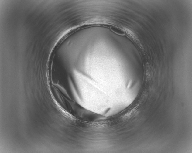 X0000055980942200509091949