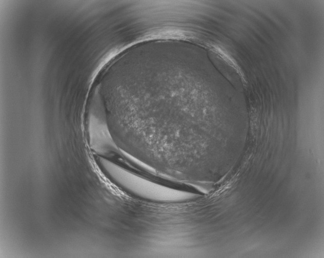 X0000055980944200509091949