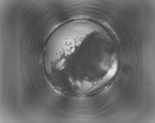 X0000055980945200509091949