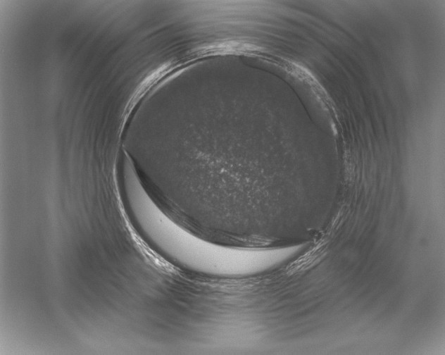 X0000055980946200509091949