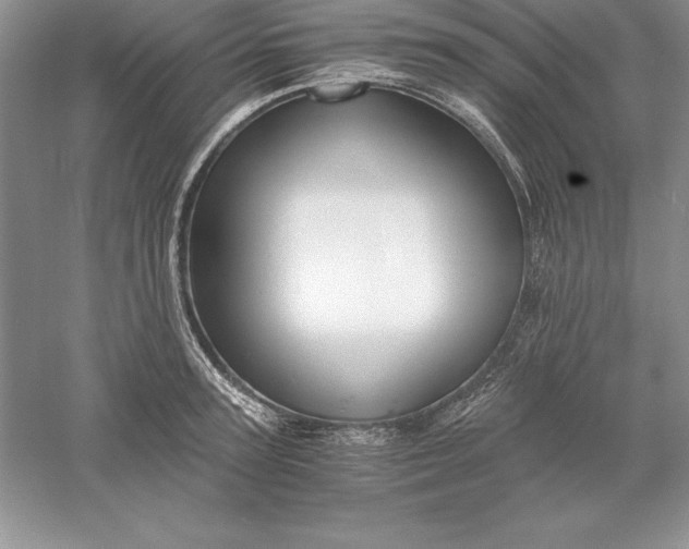 X0000055980947200509091950