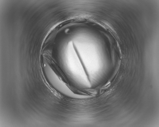 X0000055980948200509091950