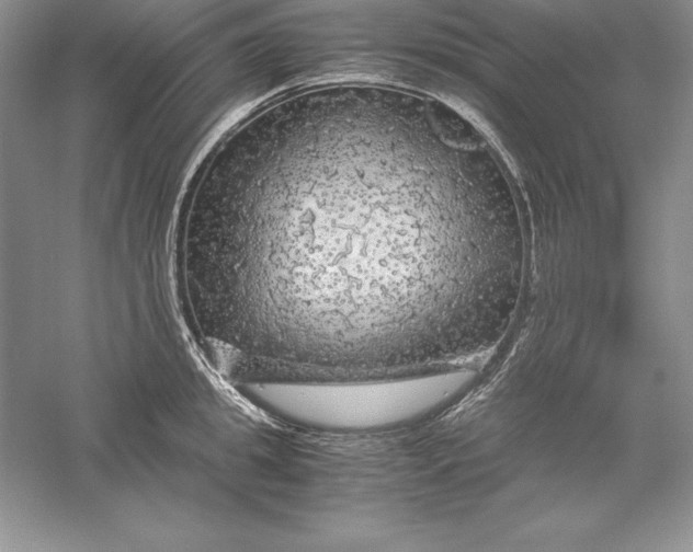 X0000055980949200509091950